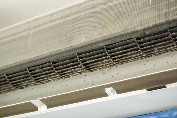 Air Duct Mold Removal in Silver Springs, NV
