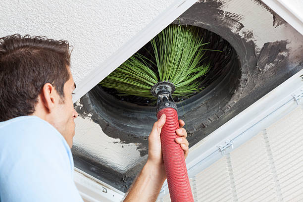 Best Air Duct Mold Removal  in Silver Springs, NV