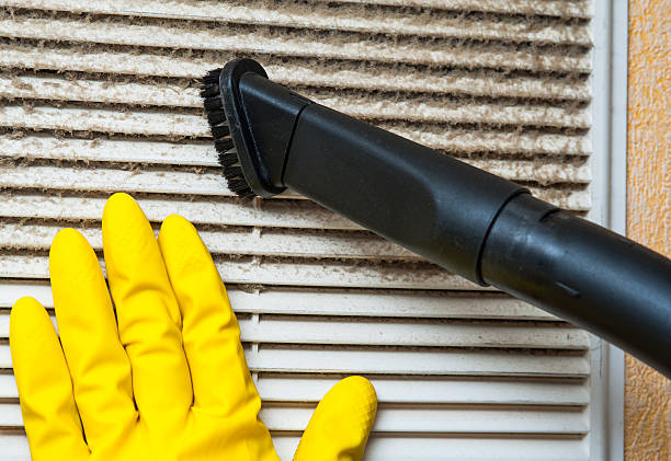 Best Affordable Air Duct Cleaning  in Silver Springs, NV