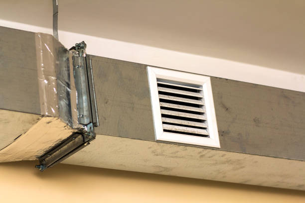 Best Local Air Duct Cleaning Services  in Silver Springs, NV
